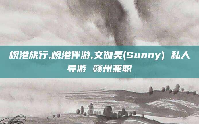 长岭岘港旅行,岘港伴游,文伽昊(Sunny) 私人导游 赣州兼职